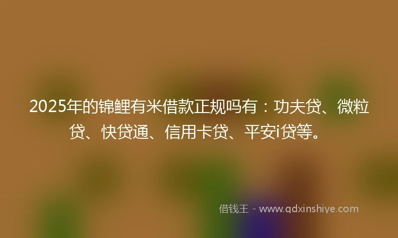 2025年的锦鲤有米借款正规吗有：功夫贷、微粒贷、快贷通、信用卡贷、平安i贷等。