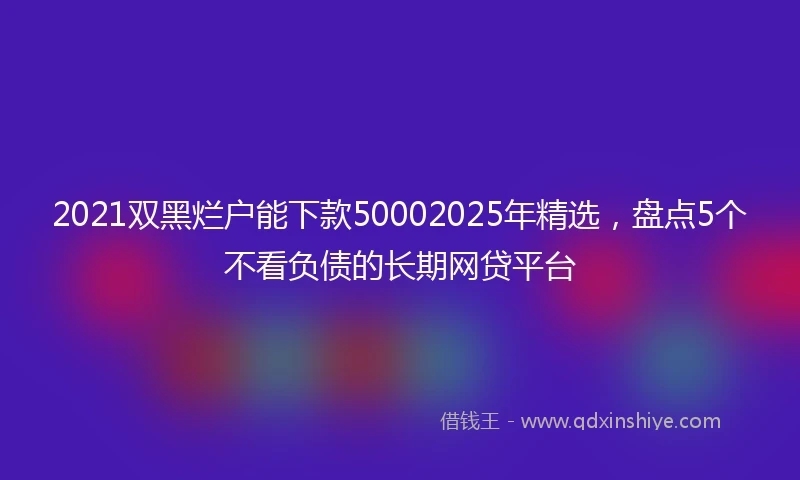 2021双黑烂户能下款50002025年精选，盘点5个不看负债的长期网贷平台