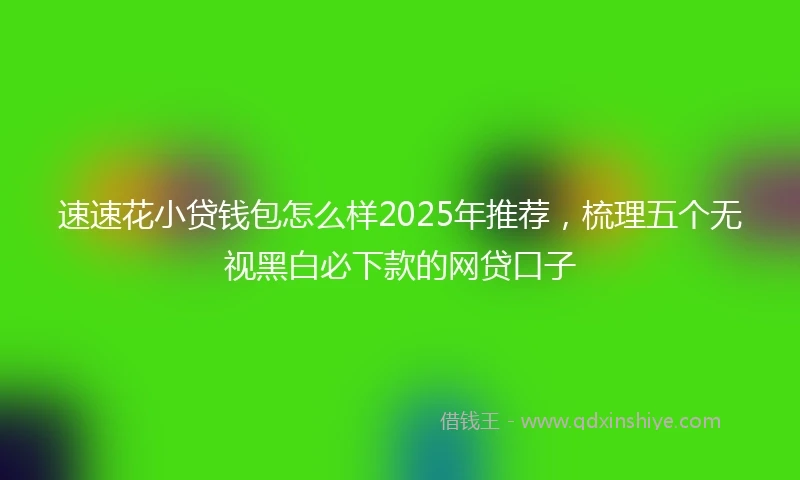 速速花小贷钱包怎么样2025年推荐，梳理五个无视黑白必下款的网贷口子