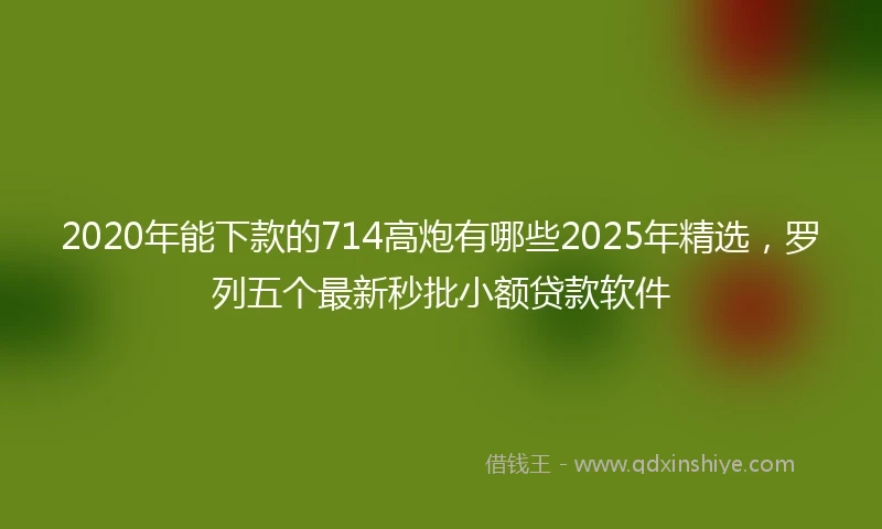 2020年能下款的714高炮有哪些2025年精选，罗列五个最新秒批小额贷款软件