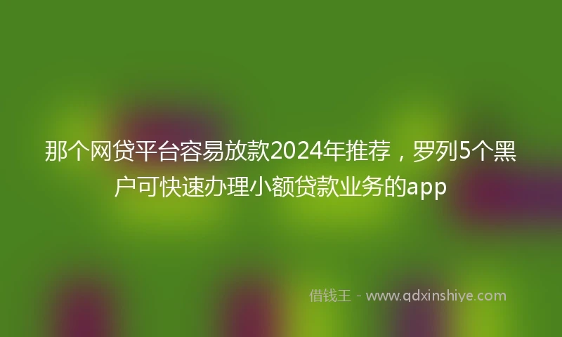 那个网贷平台容易放款2024年推荐，罗列5个黑户可快速办理小额贷款业务的app
