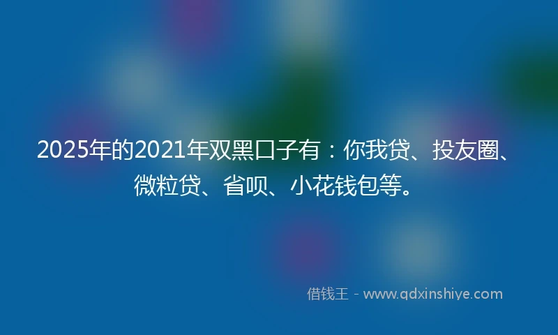 2025年的2021年双黑口子有：你我贷、投友圈、微粒贷、省呗、小花钱包等。