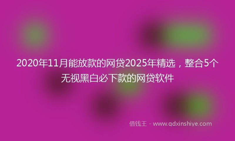2020年11月能放款的网贷2025年精选，整合5个无视黑白必下款的网贷软件