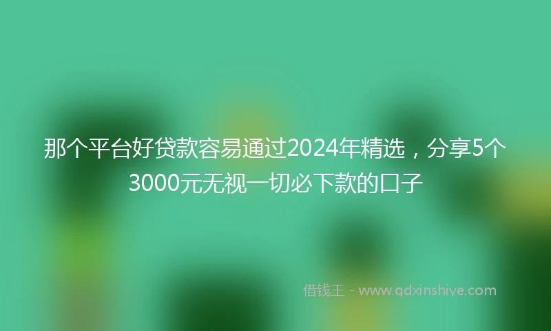 那个平台好贷款容易通过2024年精选，分享5个3000元无视一切必下款的口子
