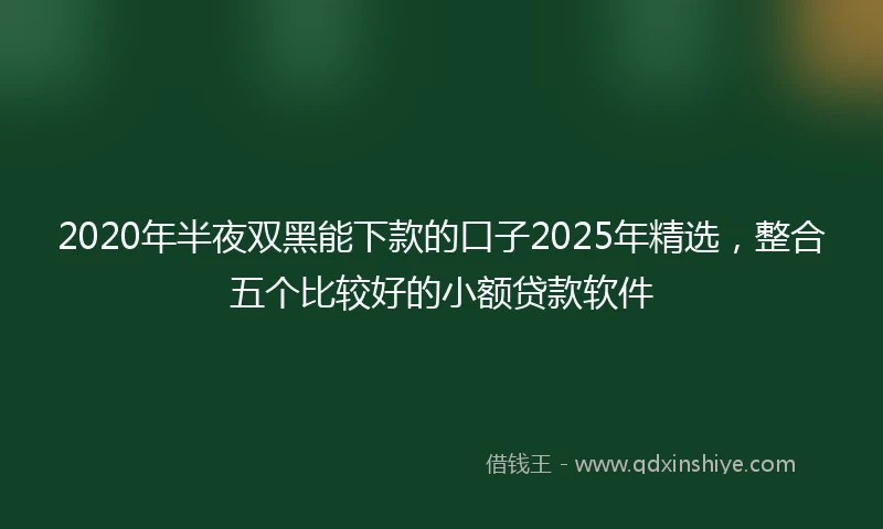 2020年半夜双黑能下款的口子2025年精选，整合五个比较好的小额贷款软件