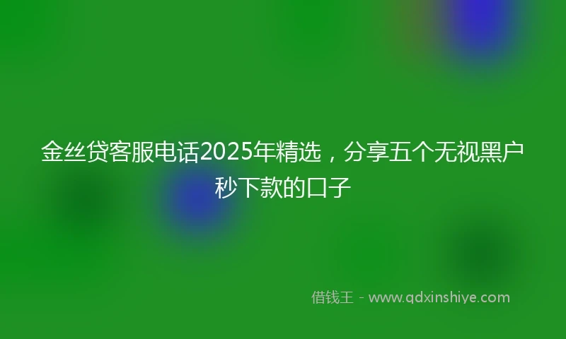 金丝贷客服电话2025年精选，分享五个无视黑户秒下款的口子