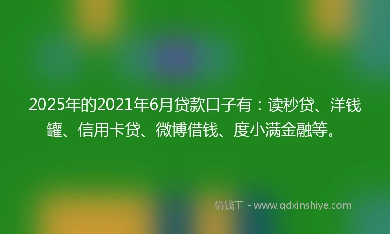 2025年的2021年6月贷款口子有：读秒贷、洋钱罐、信用卡贷、微博借钱、度小满金融等。