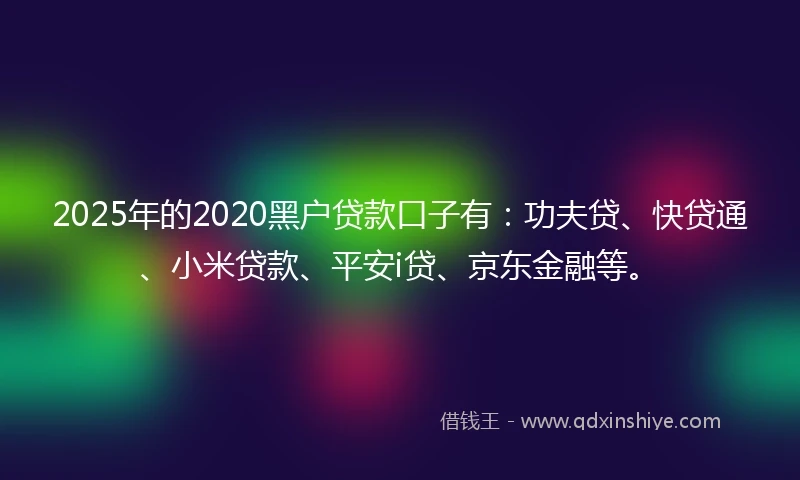 2025年的2020黑户贷款口子有：功夫贷、快贷通、小米贷款、平安i贷、京东金融等。