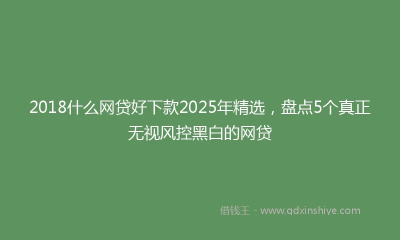 2018什么网贷好下款2025年精选，盘点5个真正无视风控黑白的网贷