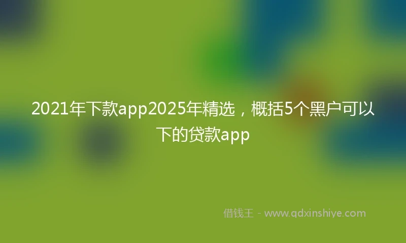 2021年下款app2025年精选，概括5个黑户可以下的贷款app
