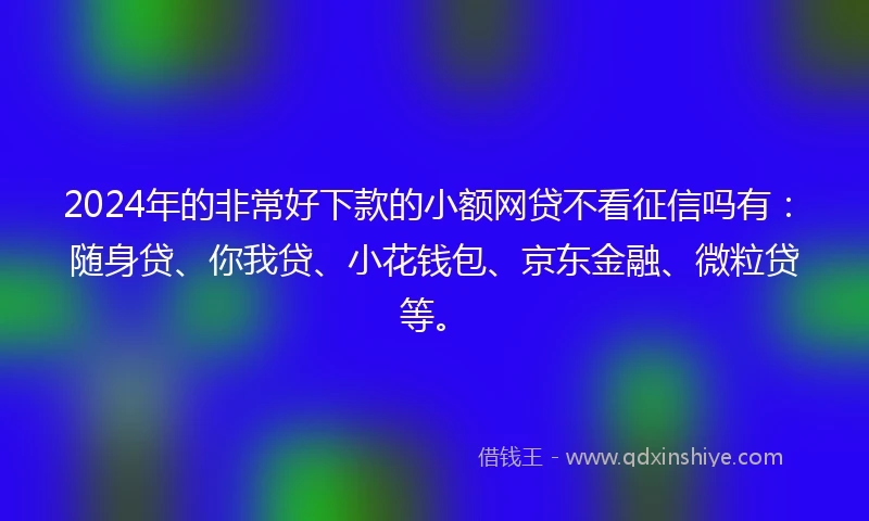 2024年的非常好下款的小额网贷不看征信吗有：随身贷、你我贷、小花钱包、京东金融、微粒贷等。