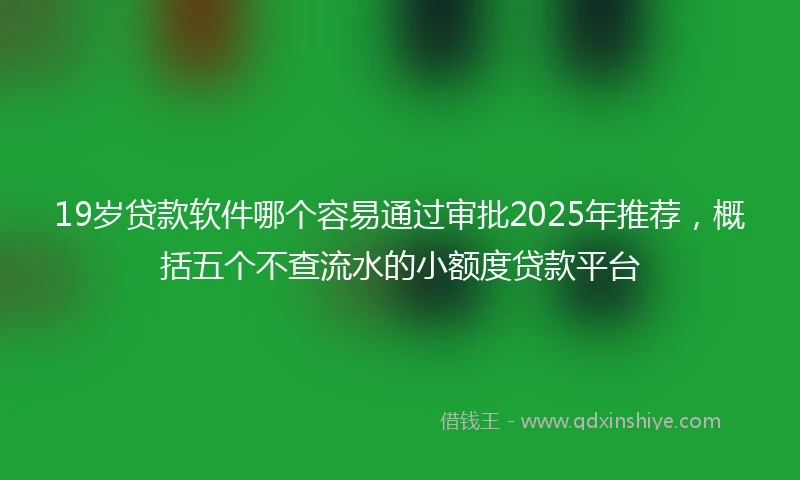 19岁贷款软件哪个容易通过审批2025年推荐，概括五个不查流水的小额度贷款平台