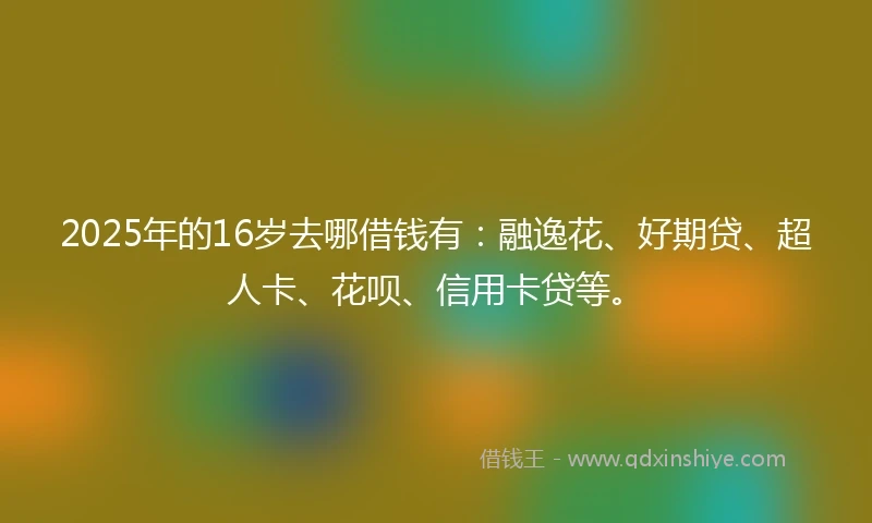 2025年的16岁去哪借钱有：融逸花、好期贷、超人卡、花呗、信用卡贷等。