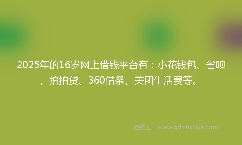 2025年的16岁网上借钱平台有：小花钱包、省呗、拍拍贷、360借条、美团生活费等。