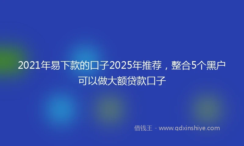 2021年易下款的口子2025年推荐，整合5个黑户可以做大额贷款口子