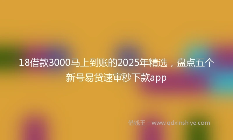 18借款3000马上到账的2025年精选，盘点五个新号易贷速审秒下款app