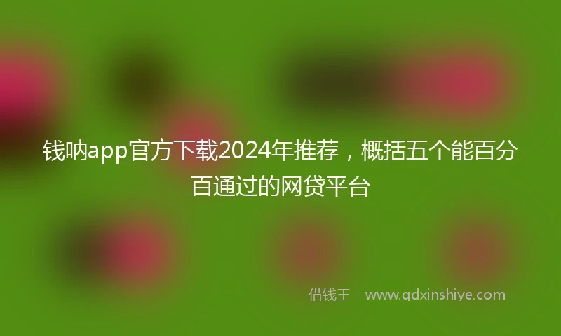 钱呐app官方下载2024年推荐，概括五个能百分百通过的网贷平台
