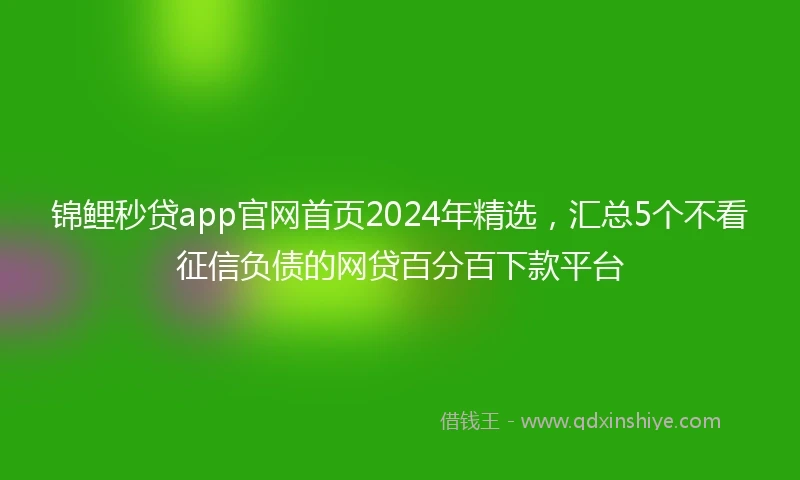 锦鲤秒贷app官网首页2024年精选，汇总5个不看征信负债的网贷百分百下款平台
