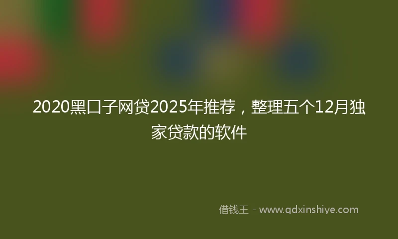 2020黑口子网贷2025年推荐，整理五个12月独家贷款的软件