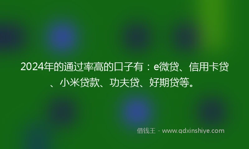 2024年的通过率高的口子有：e微贷、信用卡贷、小米贷款、功夫贷、好期贷等。