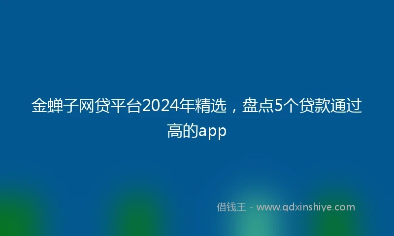 金蝉子网贷平台2024年精选，盘点5个贷款通过高的app