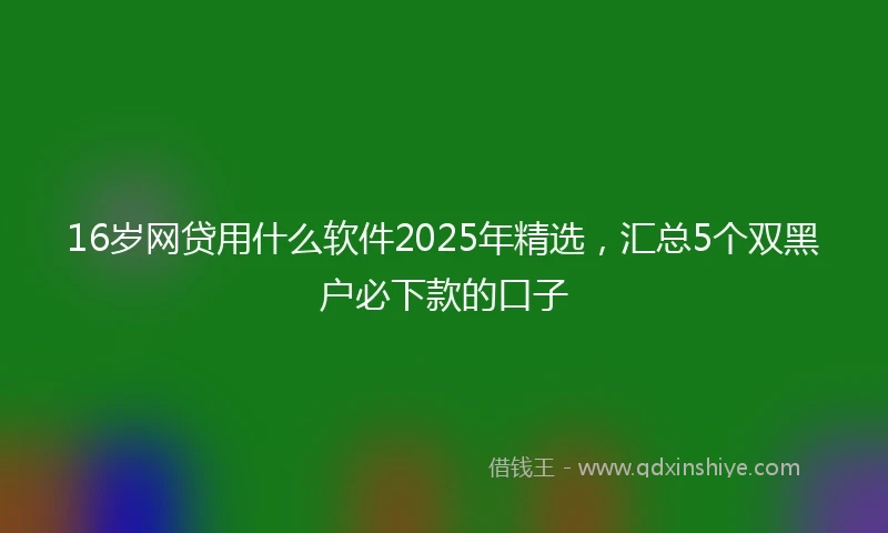 16岁网贷用什么软件2025年精选，汇总5个双黑户必下款的口子