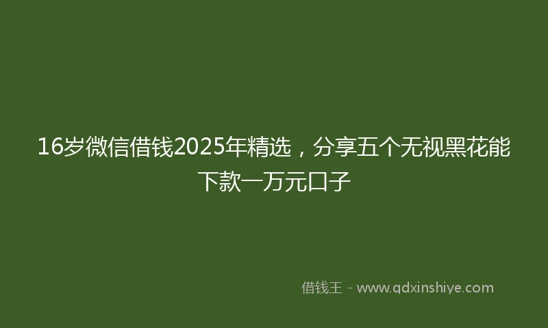 16岁微信借钱2025年精选，分享五个无视黑花能下款一万元口子