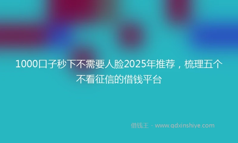 1000口子秒下不需要人脸2025年推荐，梳理五个不看征信的借钱平台