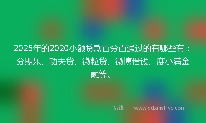 2025年的2020小额贷款百分百通过的有哪些有：分期乐、功夫贷、微粒贷、微博借钱、度小满金融等。