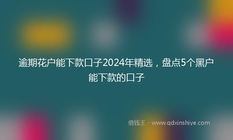逾期花户能下款口子2024年精选，盘点5个黑户能下款的口子