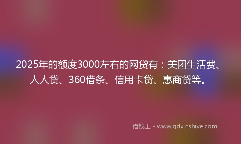 2025年的额度3000左右的网贷有：美团生活费、人人贷、360借条、信用卡贷、惠商贷等。