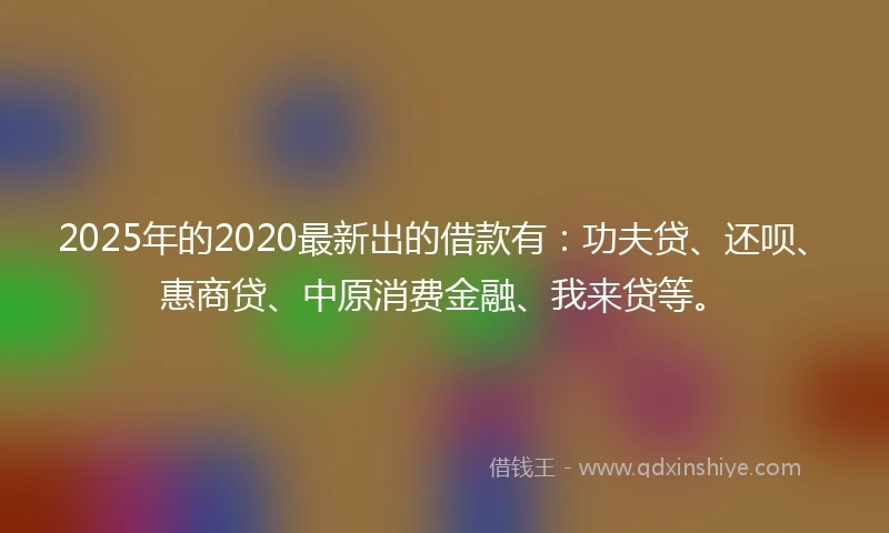 2025年的2020最新出的借款有：功夫贷、还呗、惠商贷、中原消费金融、我来贷等。