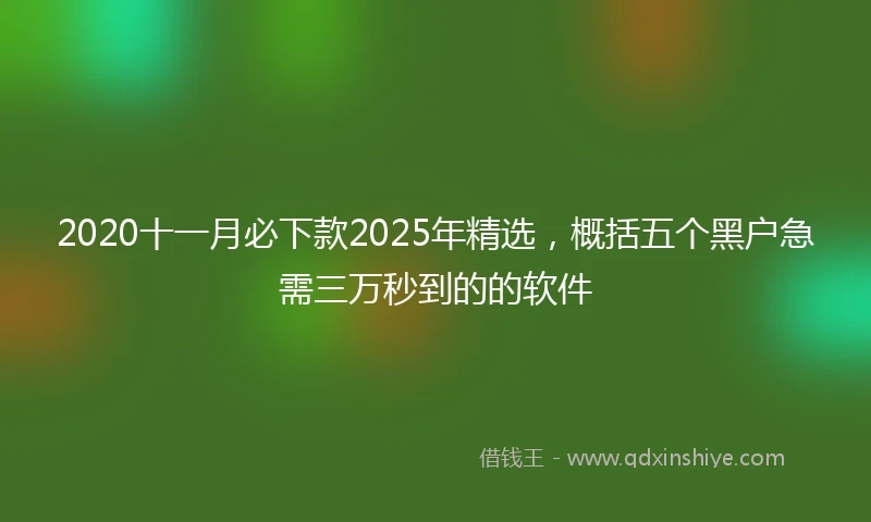 2020十一月必下款2025年精选，概括五个黑户急需三万秒到的的软件