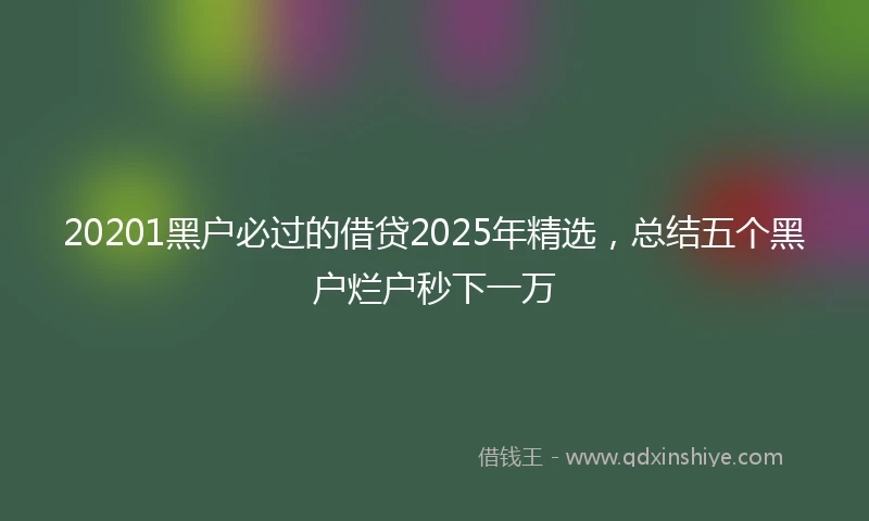 20201黑户必过的借贷2025年精选，总结五个黑户烂户秒下一万