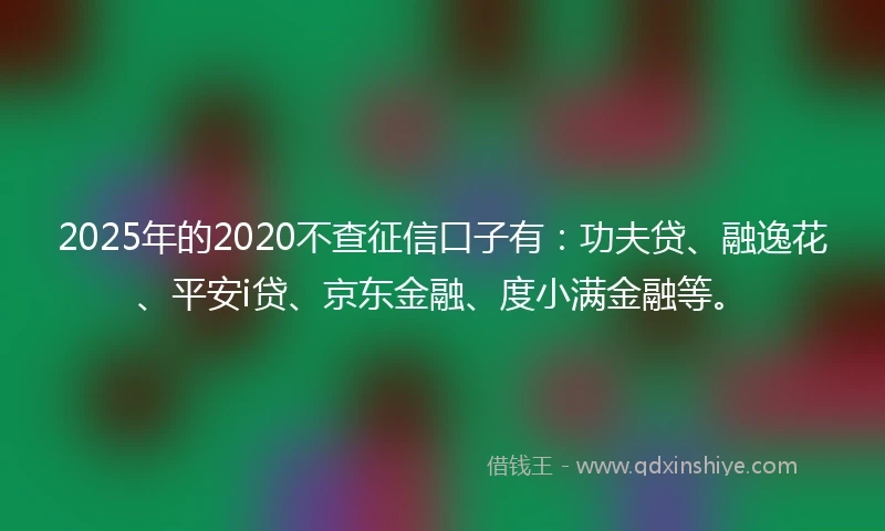 2025年的2020不查征信口子有：功夫贷、融逸花、平安i贷、京东金融、度小满金融等。
