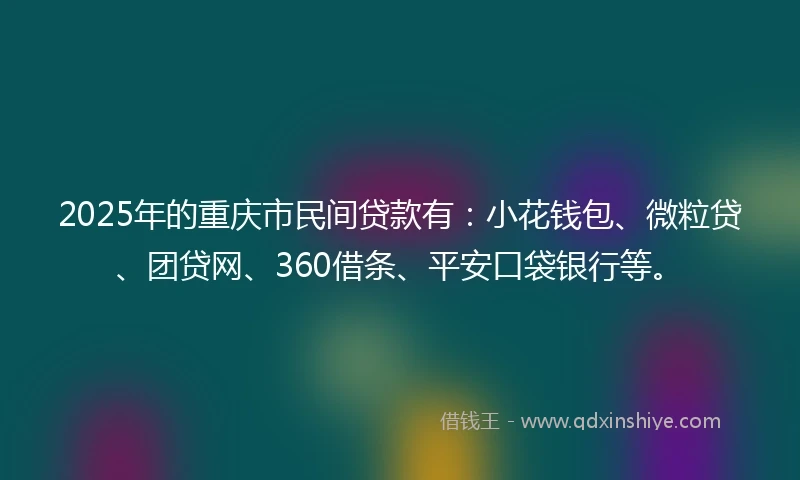 2025年的重庆市民间贷款有：小花钱包、微粒贷、团贷网、360借条、平安口袋银行等。