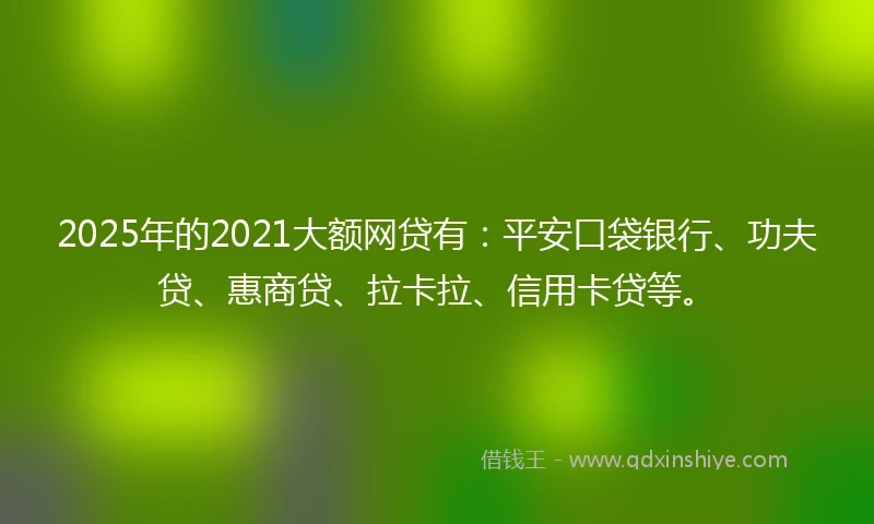 2025年的2021大额网贷有：平安口袋银行、功夫贷、惠商贷、拉卡拉、信用卡贷等。