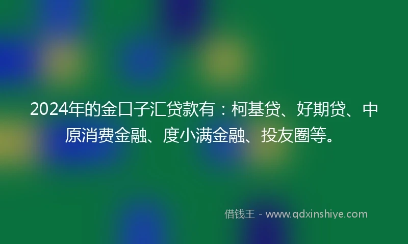 2024年的金口子汇贷款有：柯基贷、好期贷、中原消费金融、度小满金融、投友圈等。