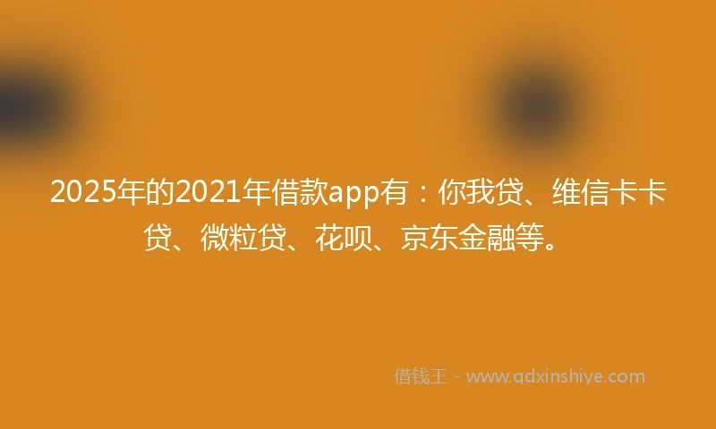 2025年的2021年借款app有：你我贷、维信卡卡贷、微粒贷、花呗、京东金融等。