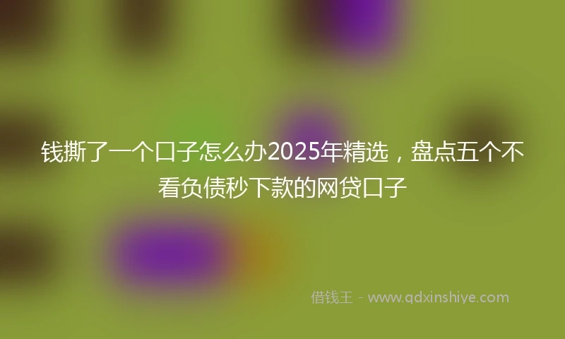 钱撕了一个口子怎么办2025年精选，盘点五个不看负债秒下款的网贷口子