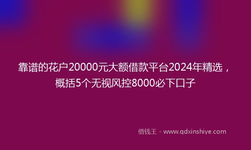 靠谱的花户20000元大额借款平台2024年精选，概括5个无视风控8000必下口子