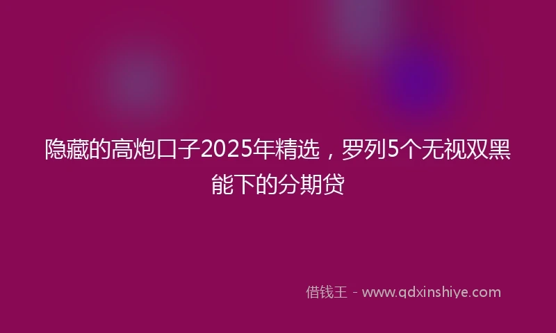隐藏的高炮口子2025年精选，罗列5个无视双黑能下的分期贷