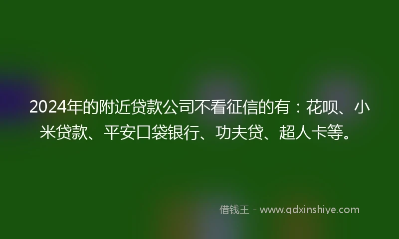 2024年的附近贷款公司不看征信的有：花呗、小米贷款、平安口袋银行、功夫贷、超人卡等。
