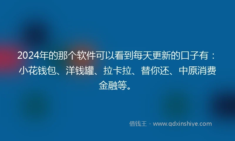 2024年的那个软件可以看到每天更新的口子有：小花钱包、洋钱罐、拉卡拉、替你还、中原消费金融等。