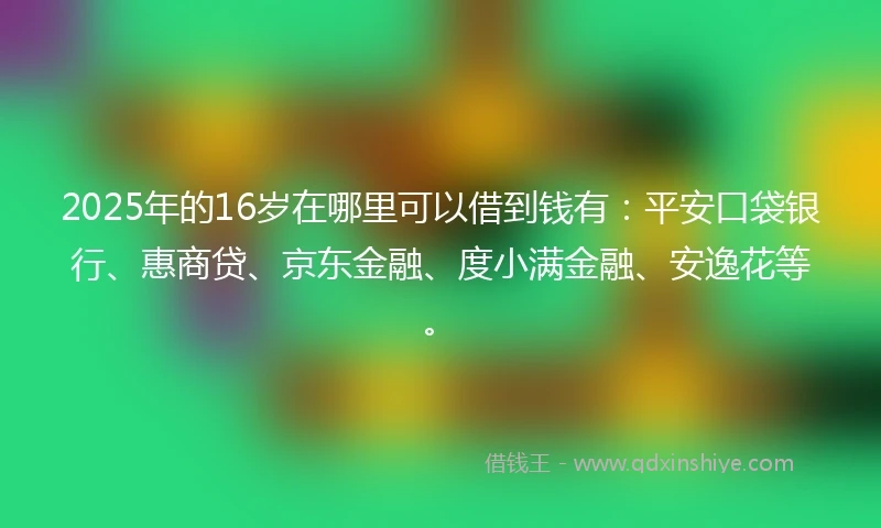 2025年的16岁在哪里可以借到钱有：平安口袋银行、惠商贷、京东金融、度小满金融、安逸花等。