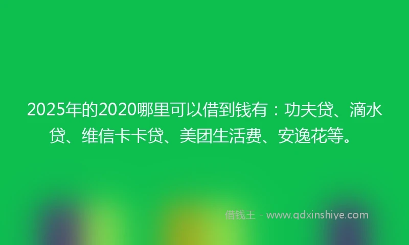 2025年的2020哪里可以借到钱有：功夫贷、滴水贷、维信卡卡贷、美团生活费、安逸花等。