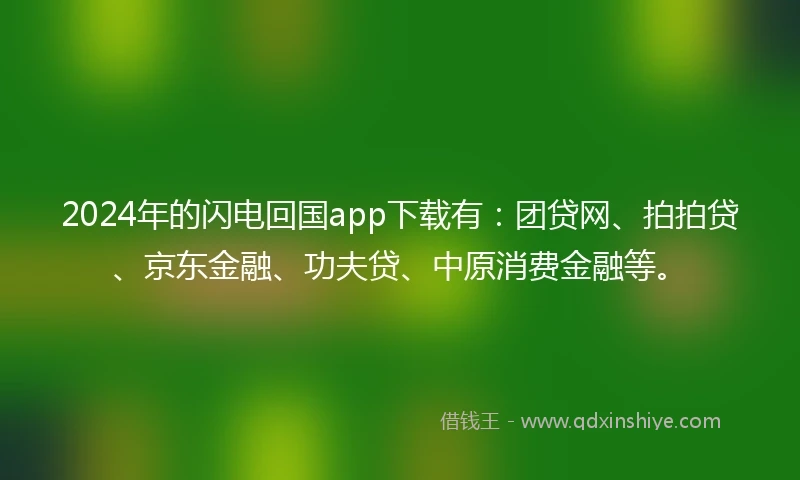 2024年的闪电回国app下载有：团贷网、拍拍贷、京东金融、功夫贷、中原消费金融等。