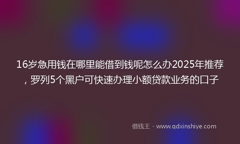 16岁急用钱在哪里能借到钱呢怎么办2025年推荐，罗列5个黑户可快速办理小额贷款业务的口子