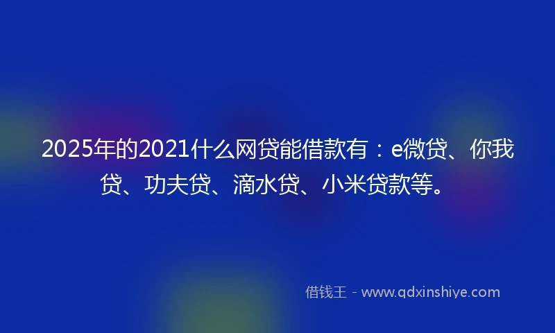 2025年的2021什么网贷能借款有：e微贷、你我贷、功夫贷、滴水贷、小米贷款等。