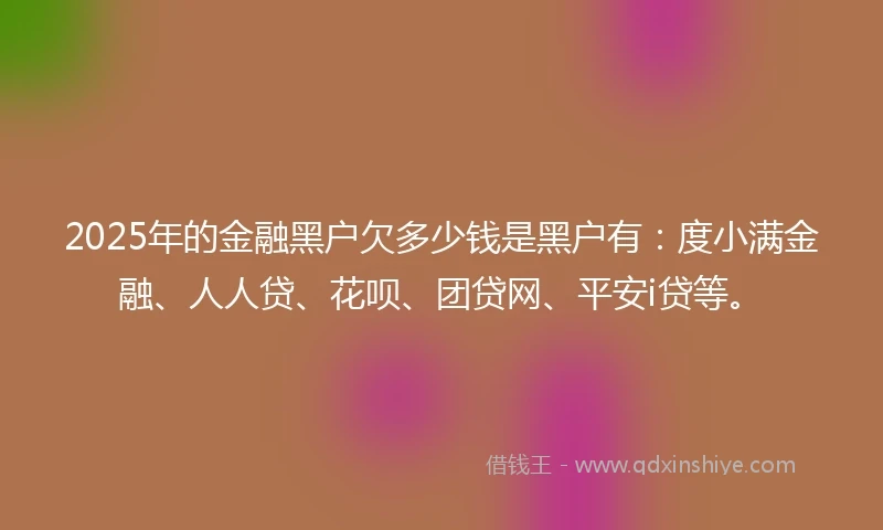2025年的金融黑户欠多少钱是黑户有：度小满金融、人人贷、花呗、团贷网、平安i贷等。